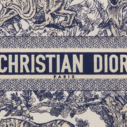 GROßE DIOR BOOK TOTE TASCHE