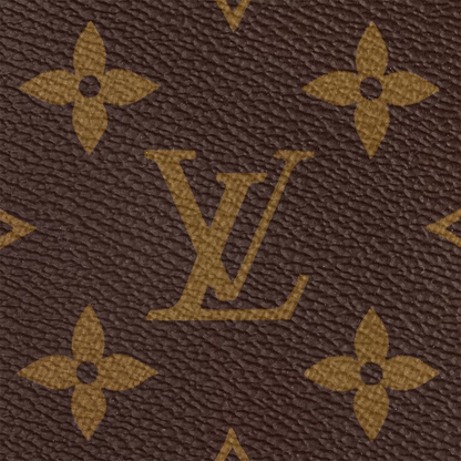 MULTI POCHETTE ACCESSOIRES LOUIS VUITTON